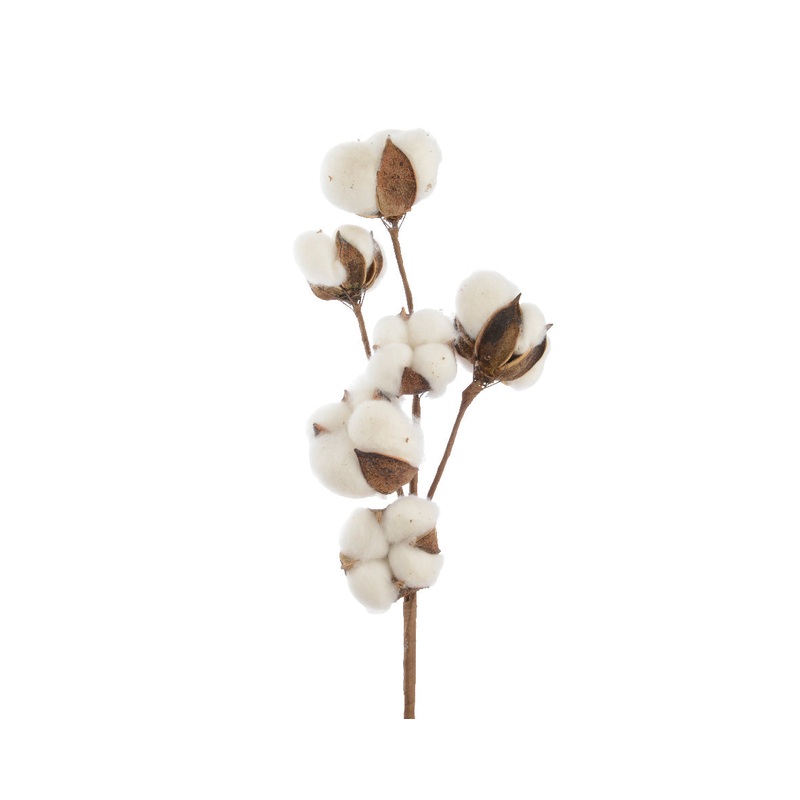 Cot Leaf Spray832215