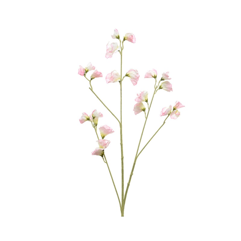 Soft Pink Sweetpea on Stem800199