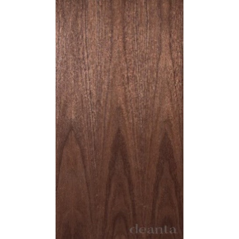 Flush Walnut Fire Door