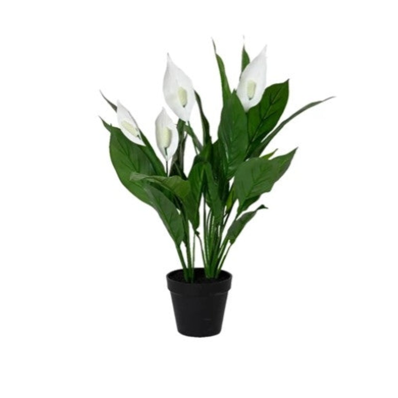 60cm Artificial Peace Lily Plant in Pot | 835094