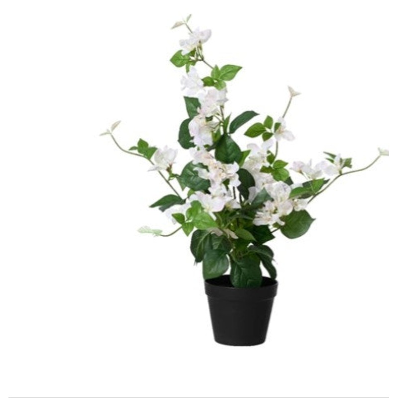 76cm Artificial Bougainvillea in Pot – White | 833567