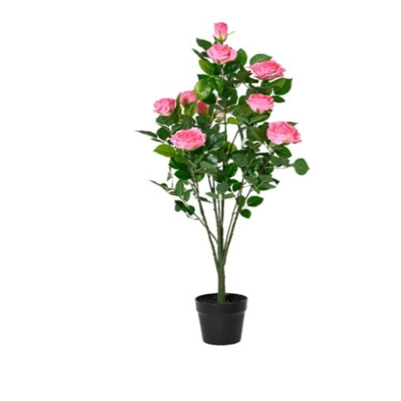 90cm Rose Tree in Pot – Rose Pink | 835089