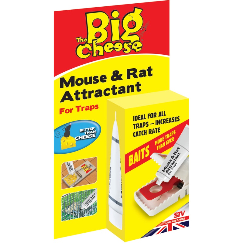 BIG CHEESE TRAP BAIT