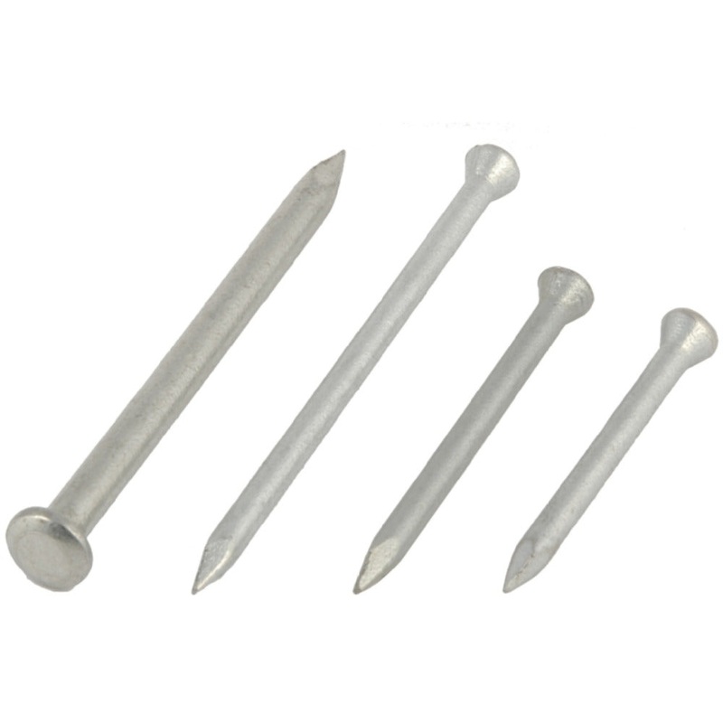 2.5x 50MM STEEL NAILS PER 100