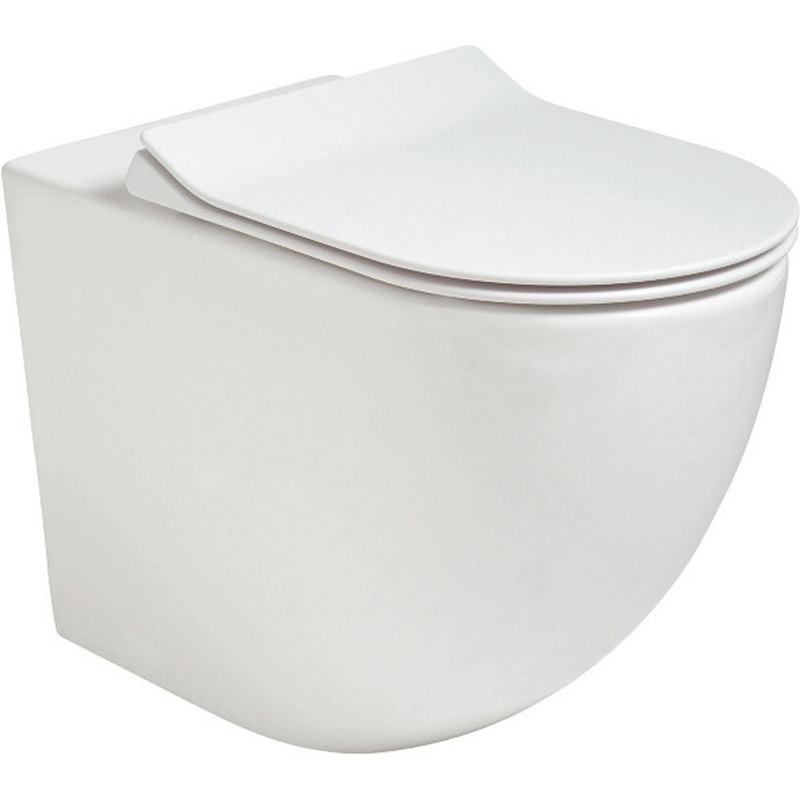 Inspire Back to Wall Rimless WC- Slim So
