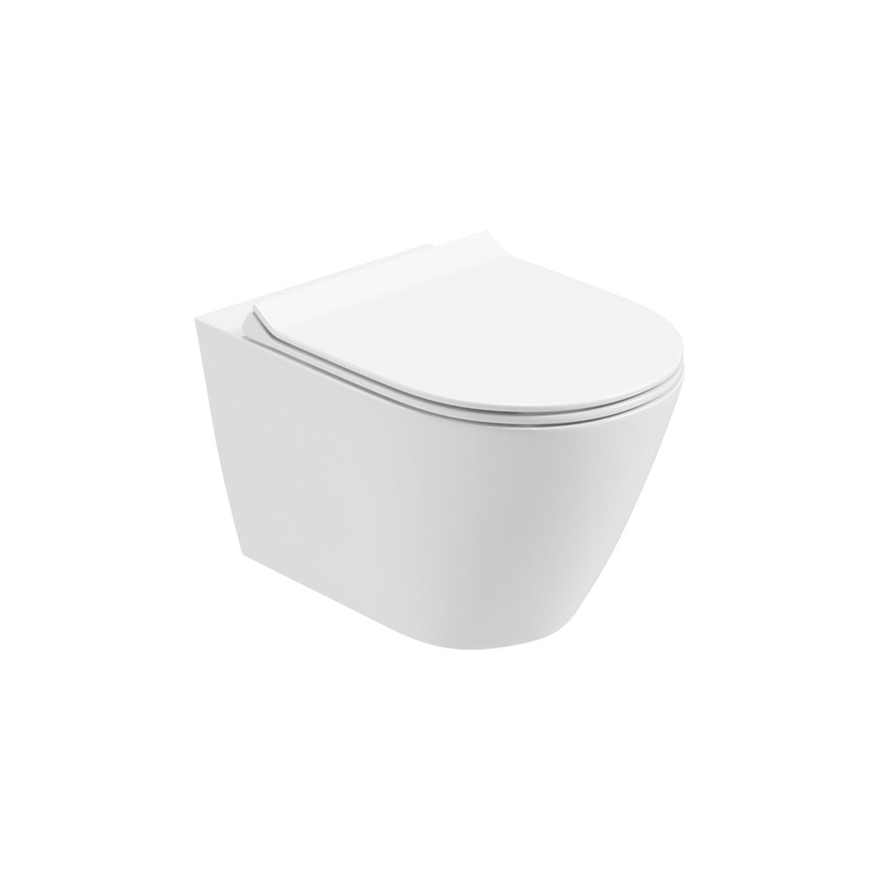 Scala Wall Hung WC & Delta Slim Seat