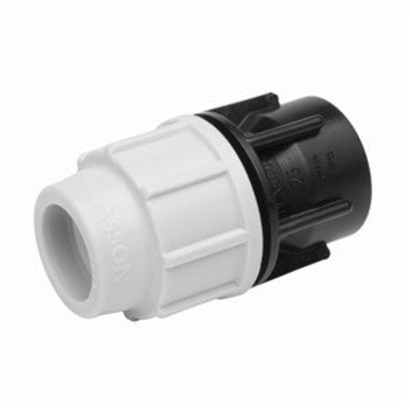 PL070300025007-Plasson Female Adaptor 25mm x 3/4