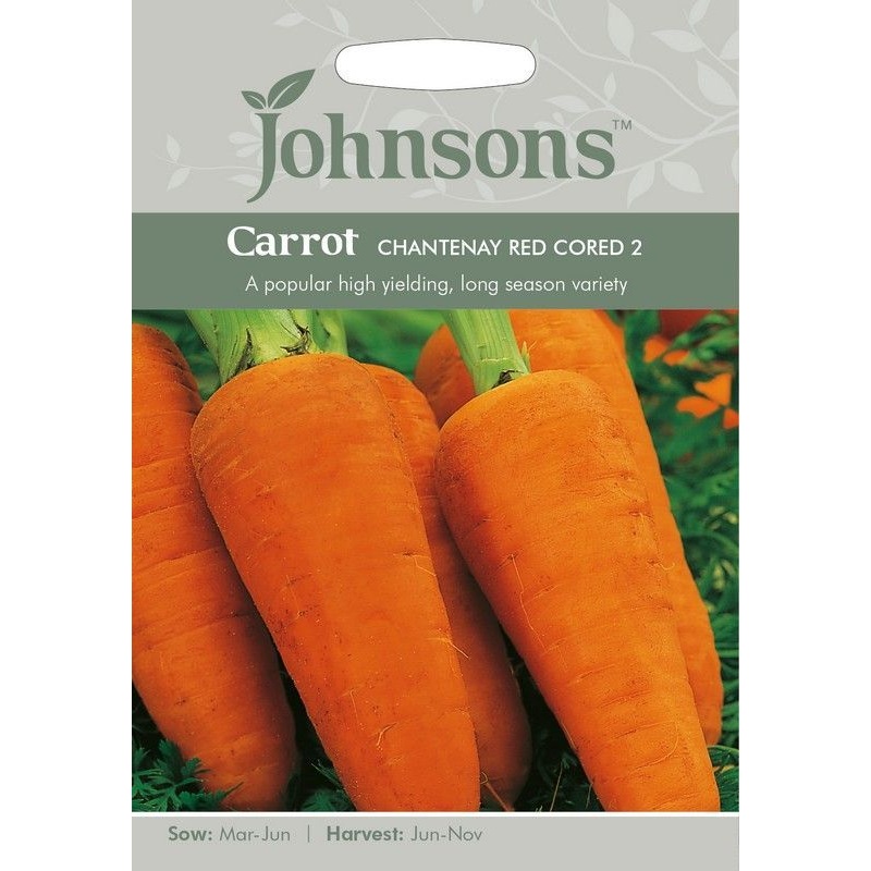 Johnsons Carrot Chantenay Red Cored 2 Seeds