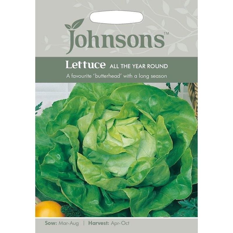 Johnsons Lettuce All The Year Round Seeds