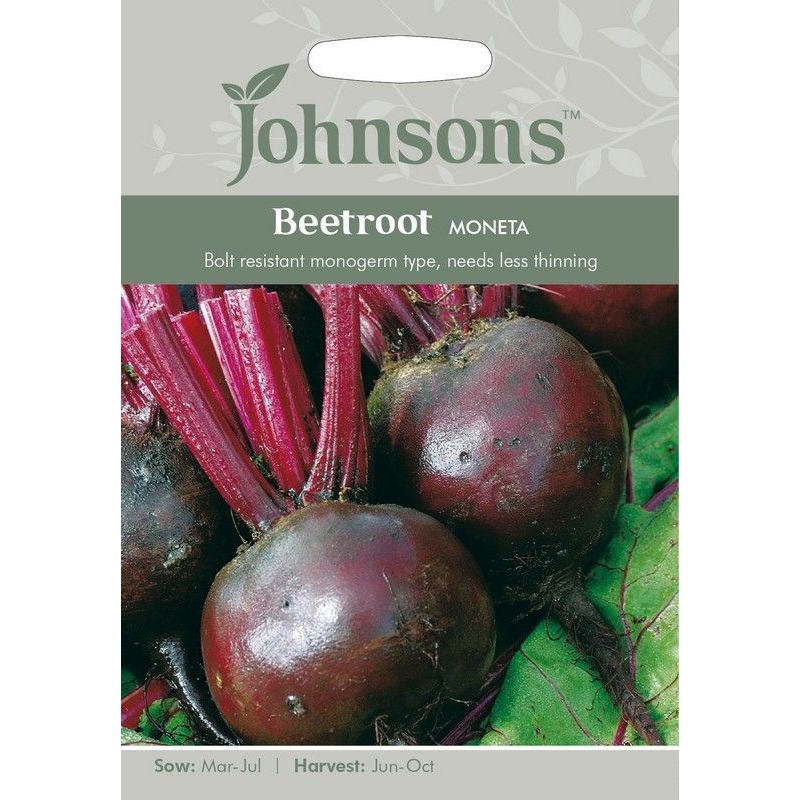 Johnsons Beetroot Moneta Seeds