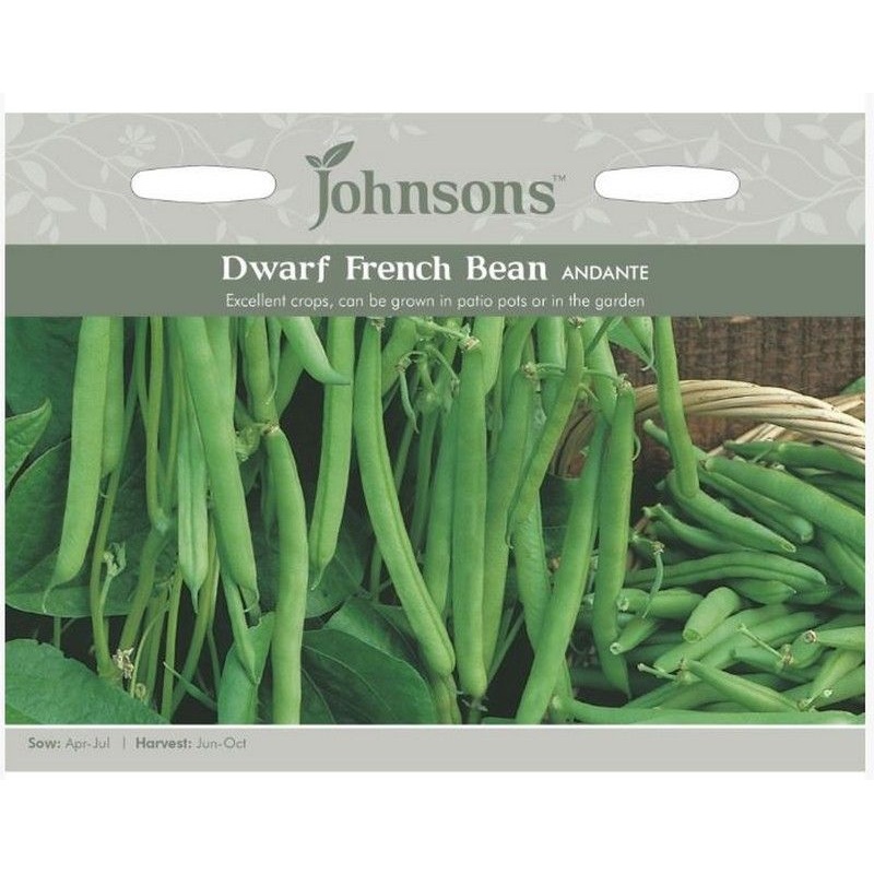 Johnsons Dwarf French Bean Andante Seeds