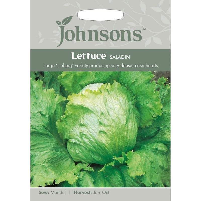 Johnsons Lettuce Saladin Seeds