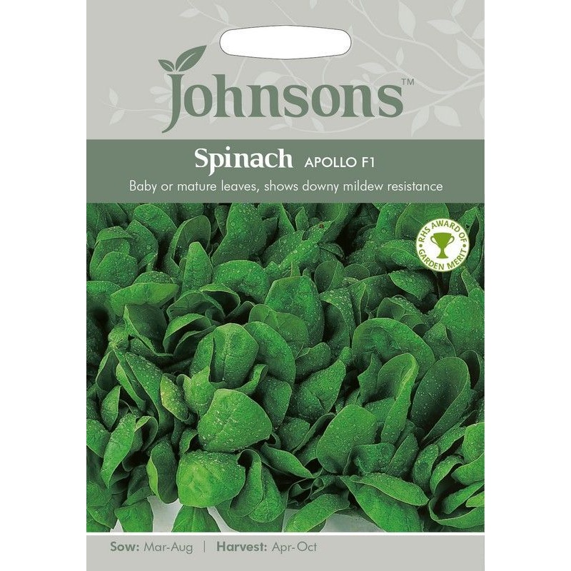 Johnsons Spinach Apollo F1 Seeds