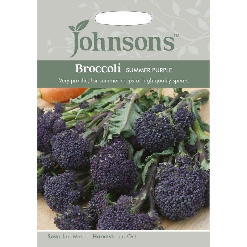 Johnsons Sprouting Broccoli Summer Purple Seeds