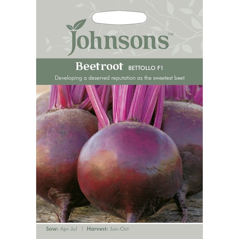Johnsons Beetroot Bettollo F1 Seeds