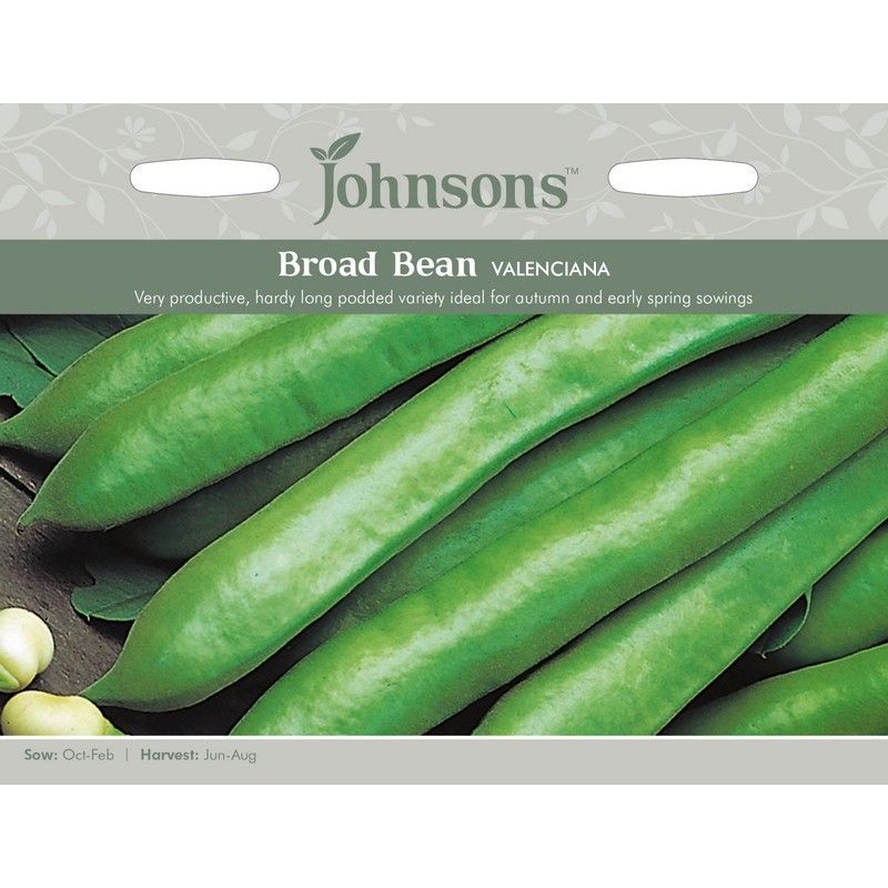 Johnsons Broad Bean Valenciana Seeds