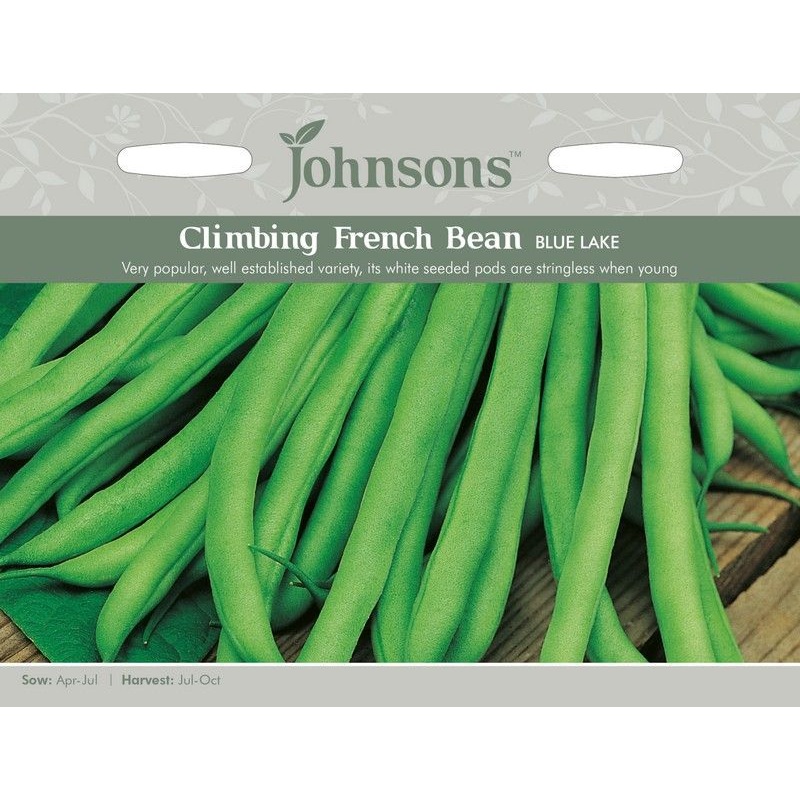 Johnsons Climbing Bean Blue Lake Seeds