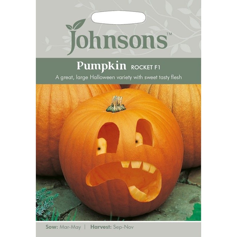 Johnsons Pumpkin Rocket F1 Seeds
