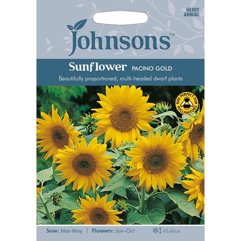 Johnsons Sunflower Pacino Gold Seeds
