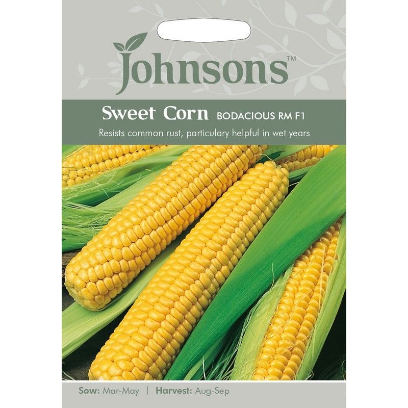 Johnsons Sweet Corn Bodacious RM Seeds