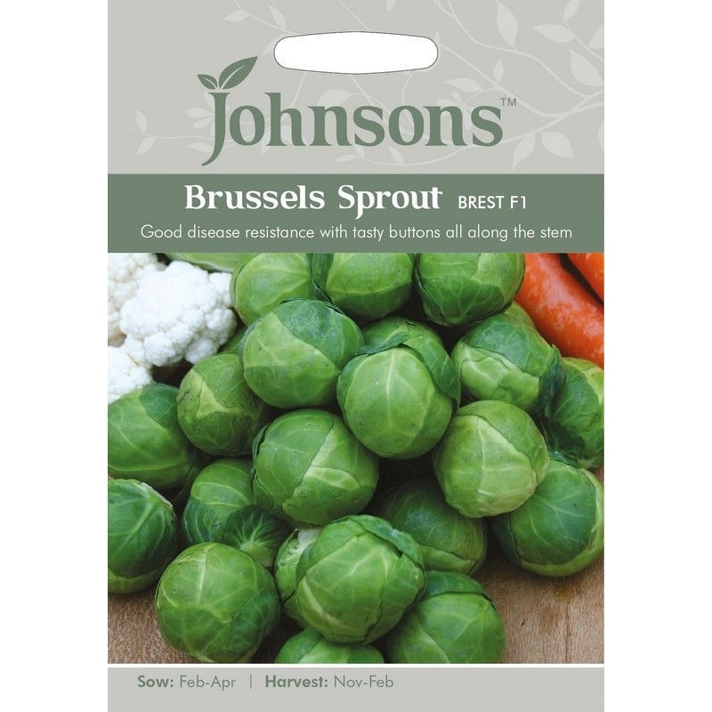Johnsons Brussels Sprout Brest F1 Seeds