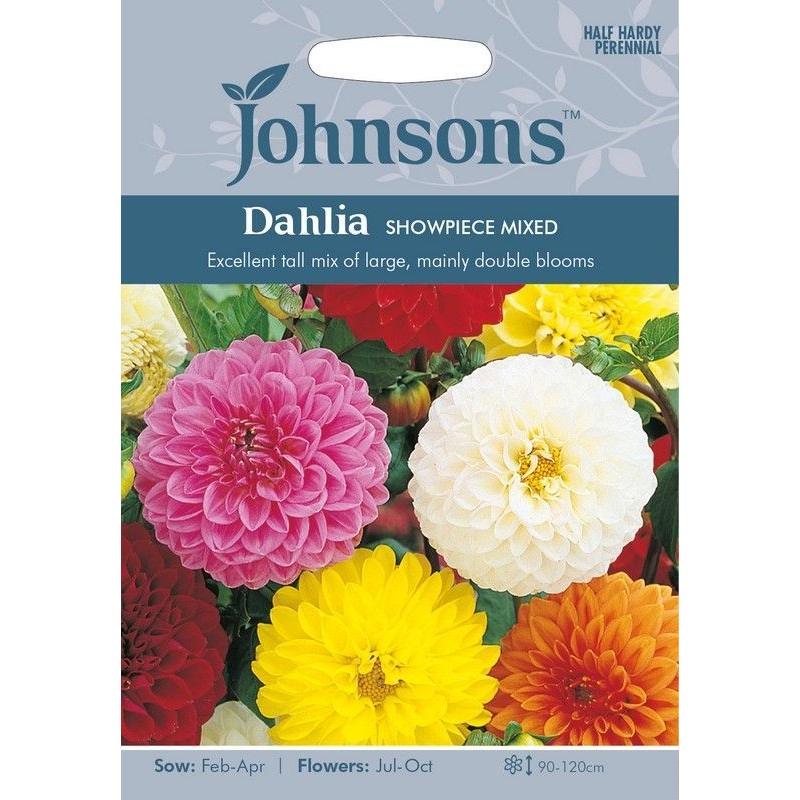 Johnsons Dahlia Showpiece Mixed Seeds