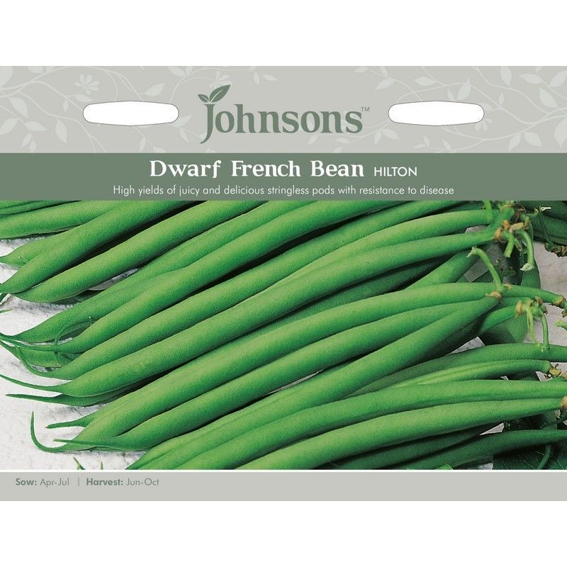 Johnsons Dwarf French Bean Hilton Seeds