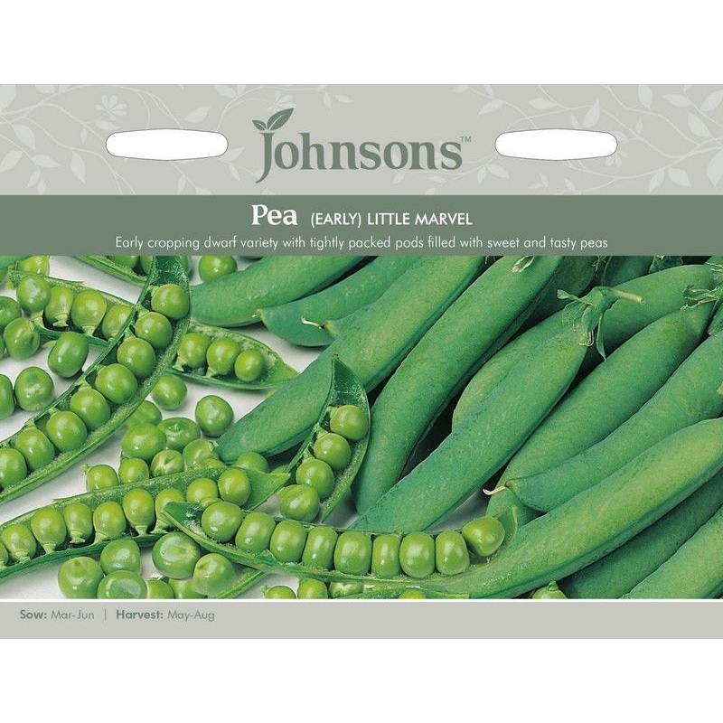 Johnsons Pea Early Little Marvel Seeds