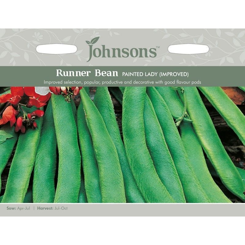 Johnsons Runner Bean Painted Lady Improved Seeds